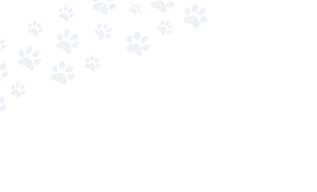 Paw Pattern